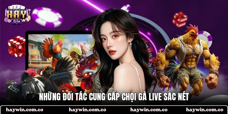 Những đối tác cung cấp chọi gà live sắc nét
